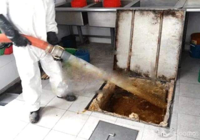 Fumigación y control de Plagas — foto 2