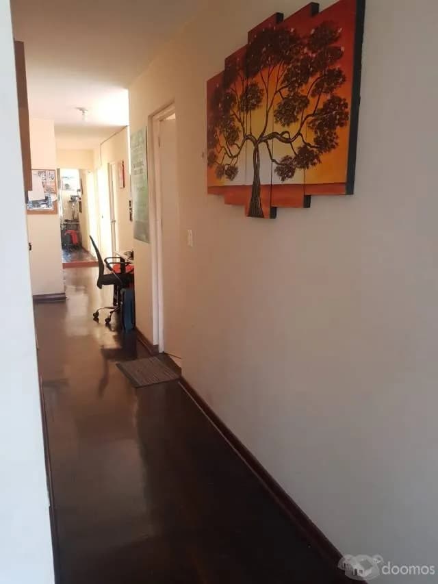 VENDO AMPLIO E ILUMINADO DEPARTAMENTO EN SURCO — foto 3