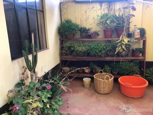 HERMOSA CASA EN LA RINCONADA JULIACA — foto 8