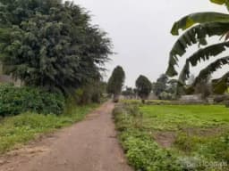 Venta de terreno en Pachacamac