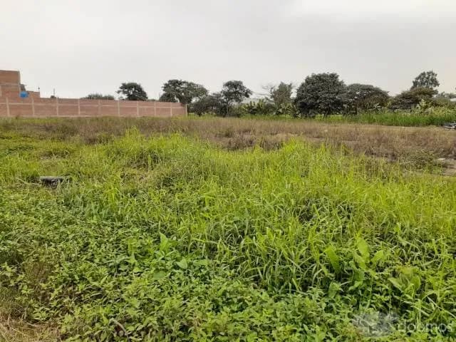 Venta de terreno en Pachacamac — foto 2