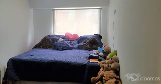 DEPARTAMENTO SAN MIGUEL — foto 3