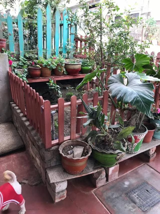 VENTA DE CASA EN PACHACUTEC VENTANILLA — foto 8