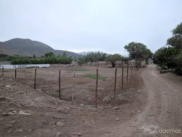Venta de Terreno en Mala. Escala Baja. — foto 1