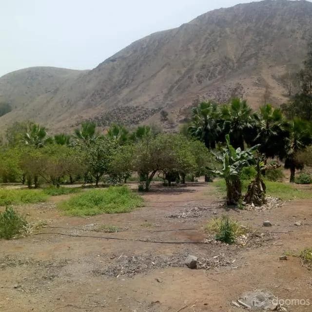 VENTA DE TERRENO PLANO EN AVENIDA — foto 1