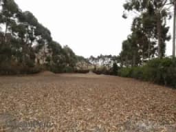 Vendo Terreno Hacienda San Andrés, Km. 75 (Ref: 372)