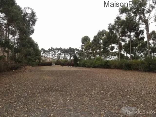 Vendo Terreno Hacienda San Andrés, Km. 75 (Ref: 372) — foto 7