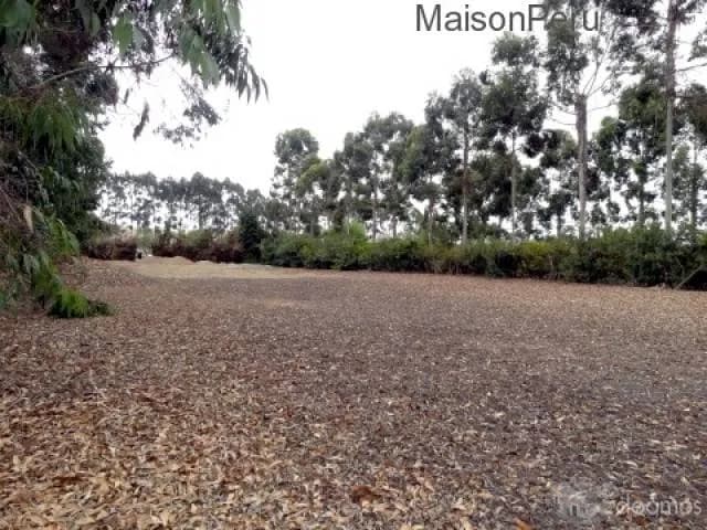 Vendo Terreno Hacienda San Andrés, Km. 75 (Ref: 372) — foto 12