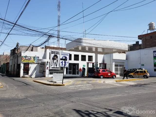 VENTA DE GRIFO EXELENTE RENTABILIDAD — foto 2
