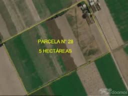 ¡ VOTA POR TU MEJOR ELECCIÓN ! UNA PARCELA EN LA JOYA - AREQUIPA