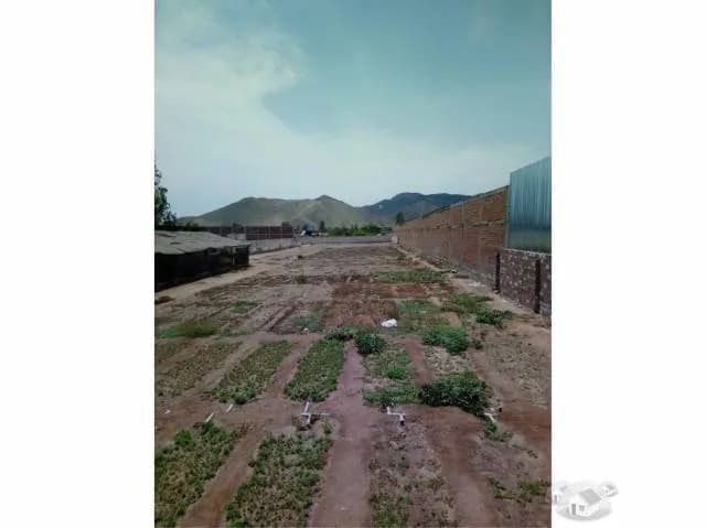 Se vende terreno en Papa León XIII - Chilca — foto 3