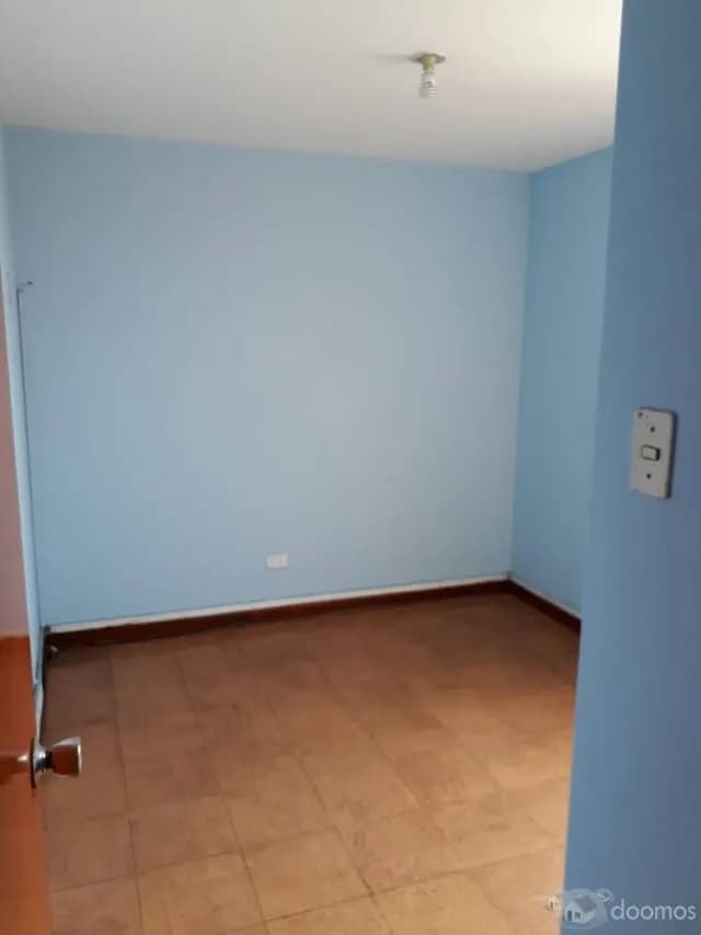 BUENA VISTA — foto 4