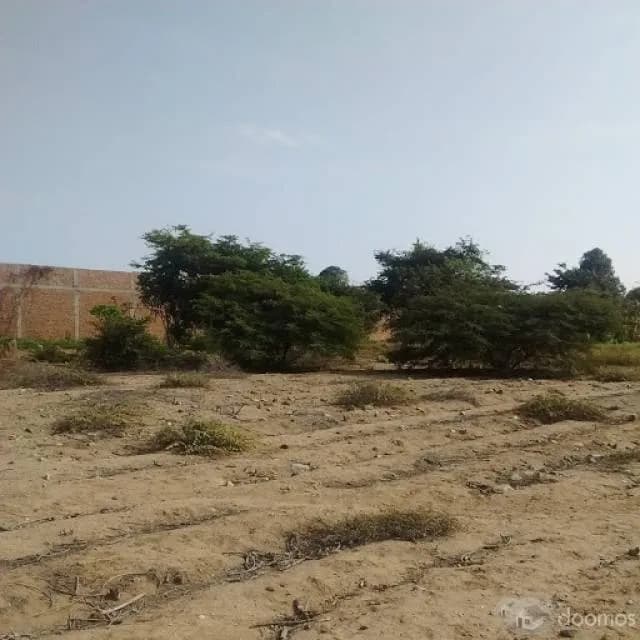 Terreno en Trujillo — foto 3