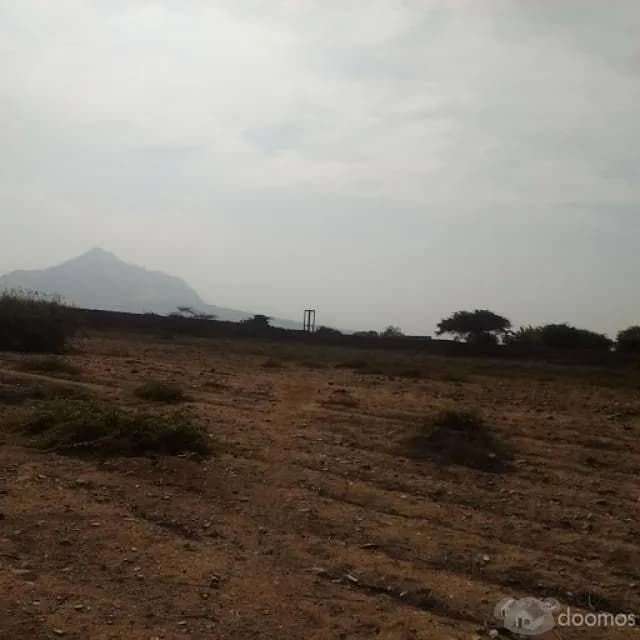 Terreno en Trujillo — foto 4