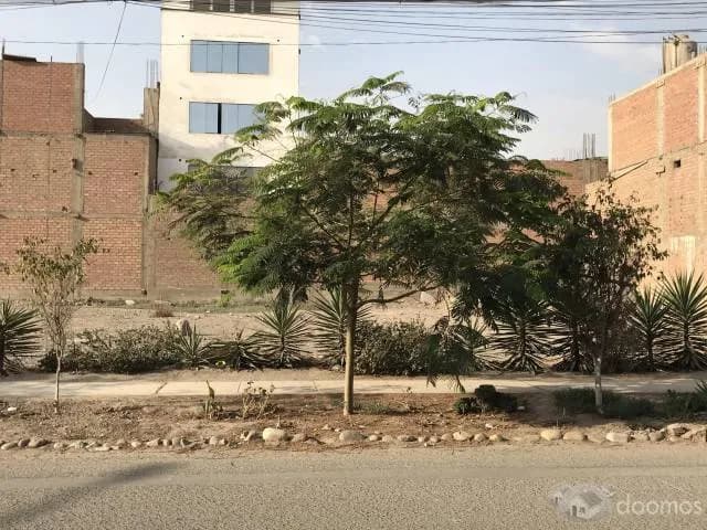 Vendo Terreno en Comas - Trapiche — foto 3