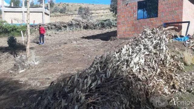 EN VENTA TERRENO EN APV. TUPAC AMARU II- SENCCA - CUSCO — foto 2