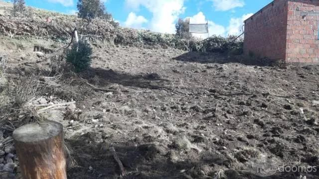 EN VENTA TERRENO EN APV. TUPAC AMARU II- SENCCA - CUSCO — foto 4