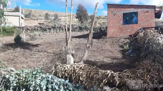 EN VENTA TERRENO EN APV. TUPAC AMARU II- SENCCA - CUSCO — foto 12