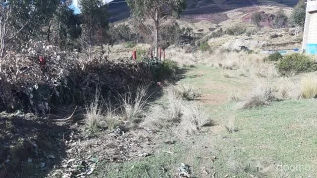 EN VENTA LOTE EN APV. TUPAC AMARU II- SENCCA - CUSCO — foto 2