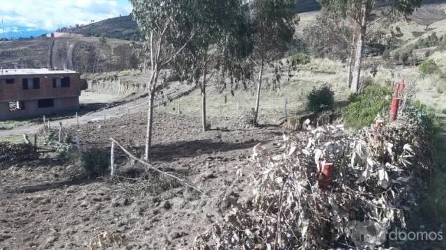 EN VENTA LOTE EN APV. TUPAC AMARU II- SENCCA - CUSCO — foto 9