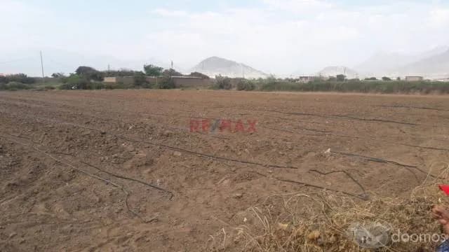 TERRENO AGRÍCOLA EN VENTA — foto 2