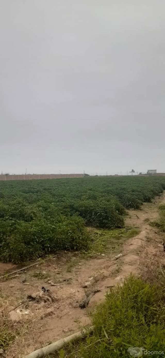 TERRENO AGRÍCOLA EN VENTA — foto 1