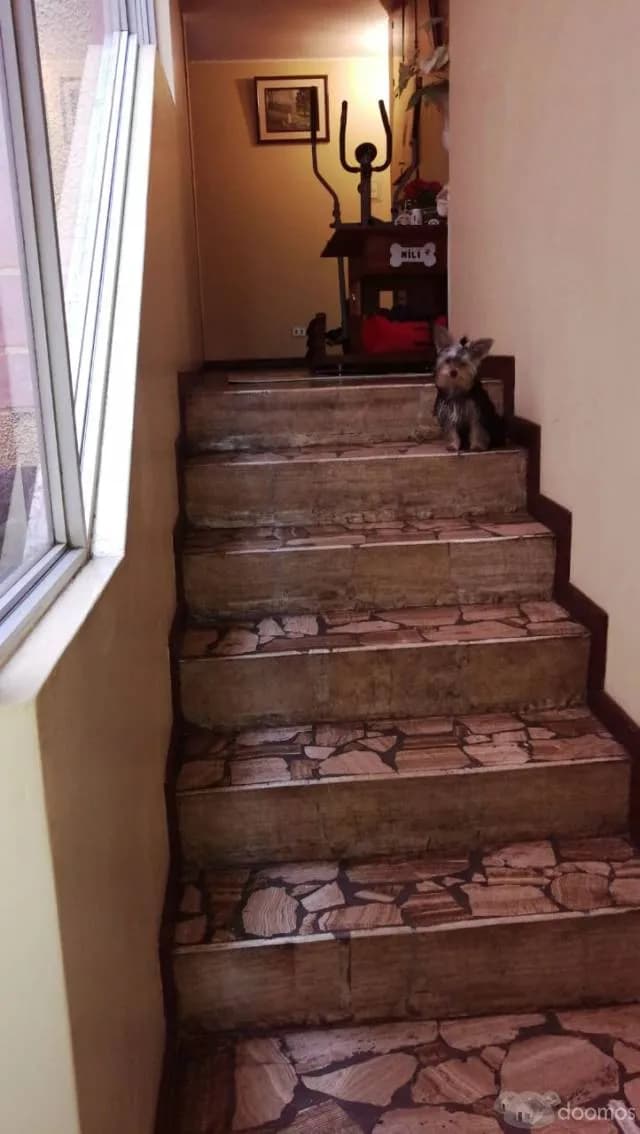 CASA CON LOCALES COMERCIALES — foto 6