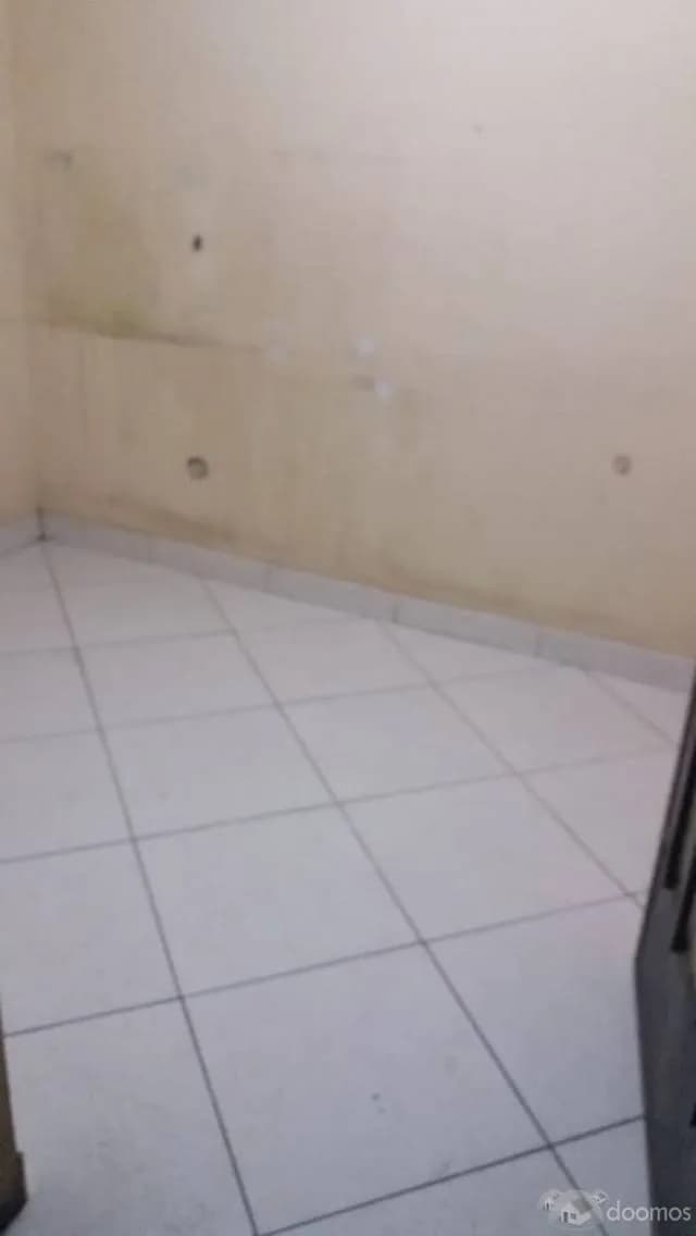 ALQUILER DE MINI DEPARTAMENTO LOS OLIVOS — foto 3