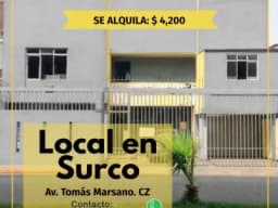 EXCELENTE LOCAL COMERCIAL 300 MTS  SURCO