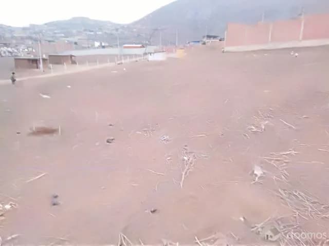 VENTA DE TERRENOS - PACHACAMAC — foto 1