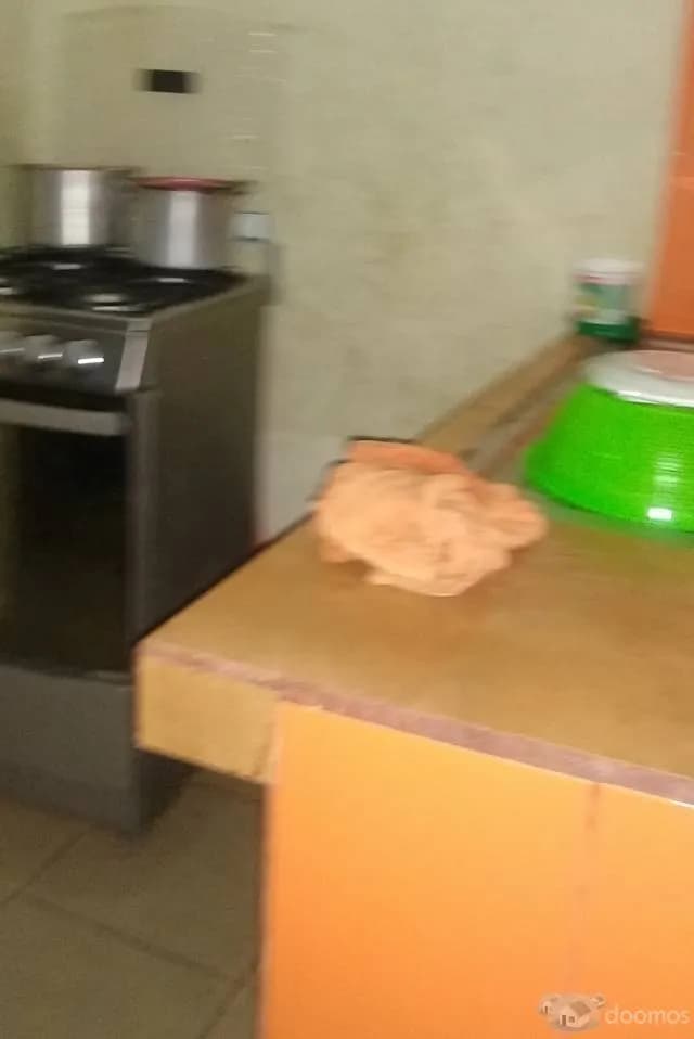Casa céntrica 7x20 lista para vivir S/ 220,000 — foto 4