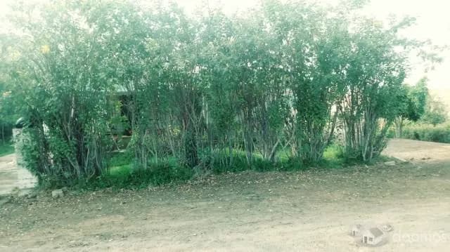 VENDO TERRENO EN PAPA LEON XIII — foto 2