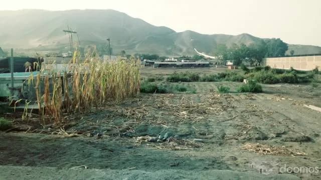 VENDO TERRENO EN PAPA LEON XIII — foto 3