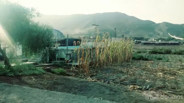 VENDO TERRENO EN PAPA LEON XIII — foto 4