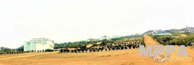 TERRENO DE PLAYA Y CAMPO A 30 MIN. DE LIMA — foto 7