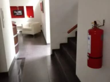 Miniatura 10