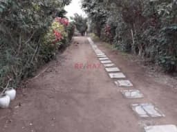 VENDO TERRENO INDUSTRIAL DE 2514 M2 EN SHANGRILLA - PUENTE PIEDRA Precio accesible para los inversionistas que desean comprar en este momento con documento