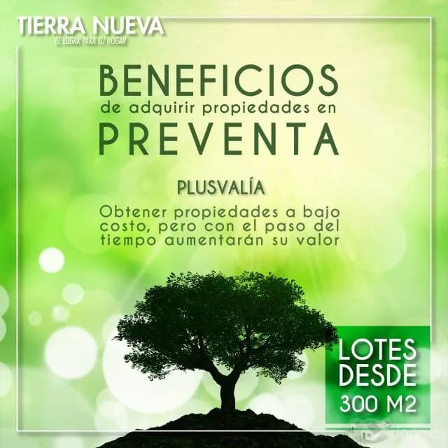 Venta de lotes en condomino cerrado y ecològico. — foto 5