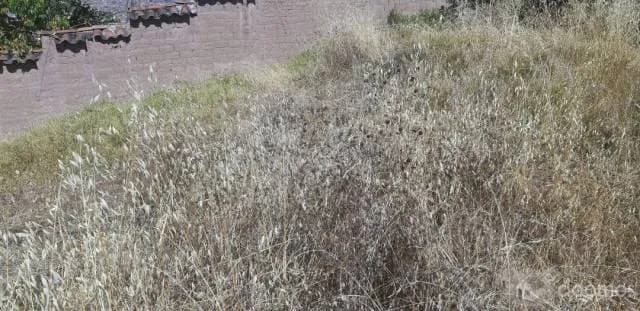 EN VENTA TERRENO EN APV. HUAYRACPUNCO — foto 4
