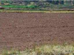 Remato terreno plano cerca a la pista en Tipon 192.54m2