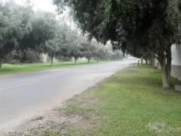 Venta de Terreno en Pachacamac