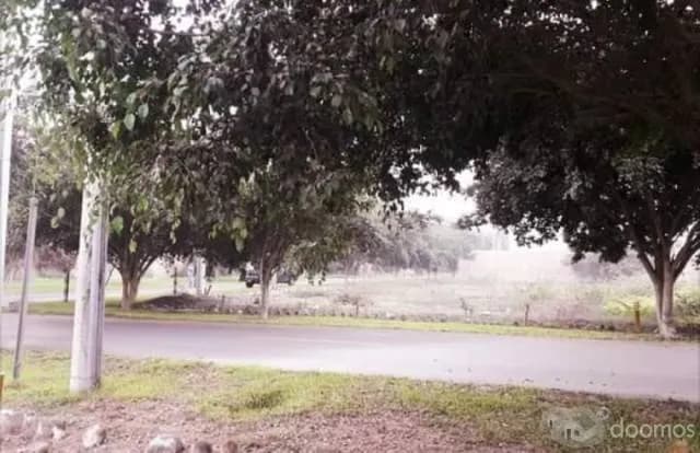 Venta de Terreno en Pachacamac — foto 2