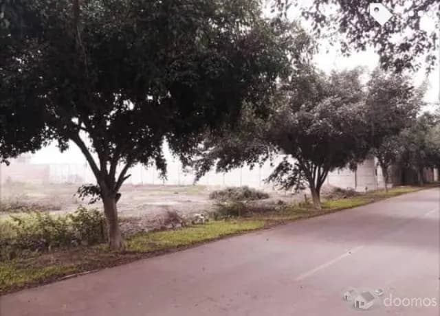 Venta de Terreno en Pachacamac — foto 4