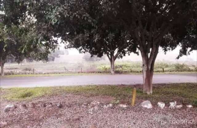Venta de Terreno en Pachacamac — foto 7