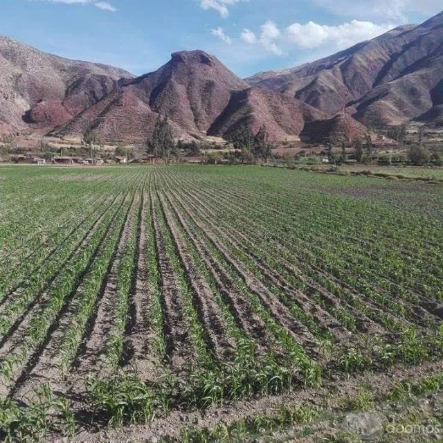 Vendo Terreno en Cusco - Machupicchu - Inversionistas — foto 2