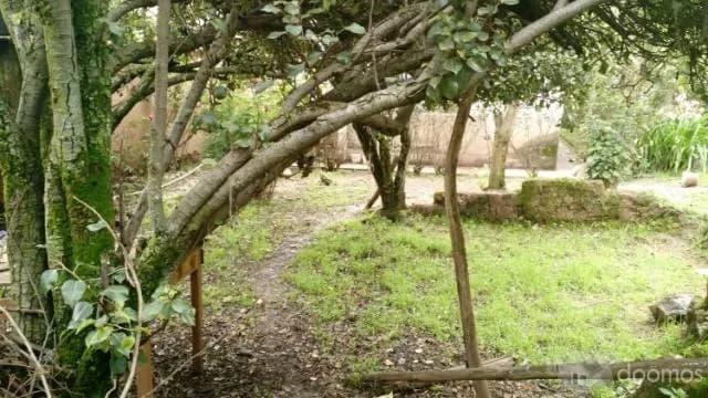 EN VENTA CASA COMO TERRENO EN CALLE TOTORAPACCHA - SAN BLAS — foto 1