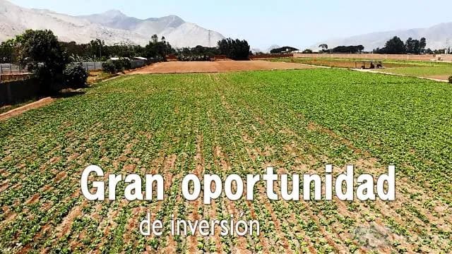 VENTA DE TERRENO PARA DESARROLLAR PROYECTOS INMOBILIARIO — foto 5