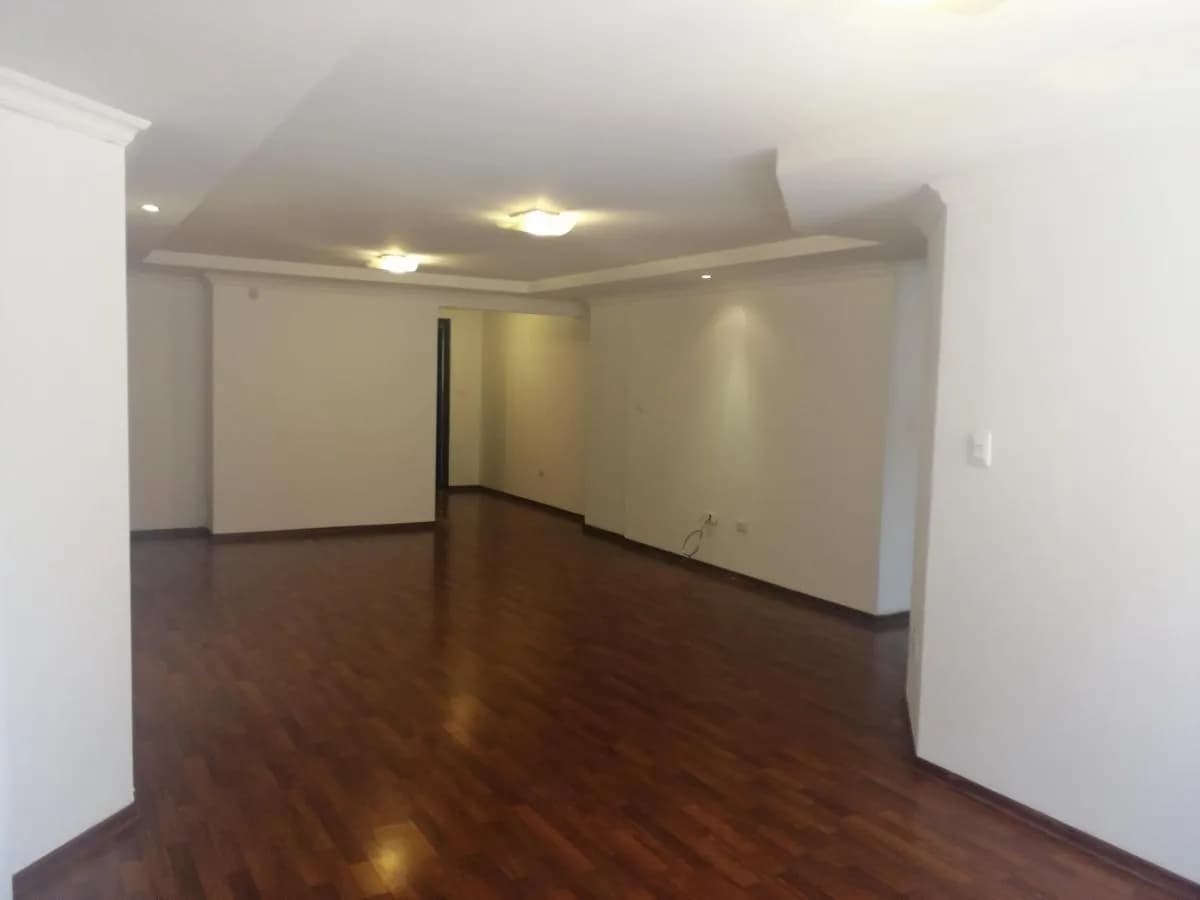 DEPARTAMENTO EN   LINCE  PARDO DE ZELA — foto 1