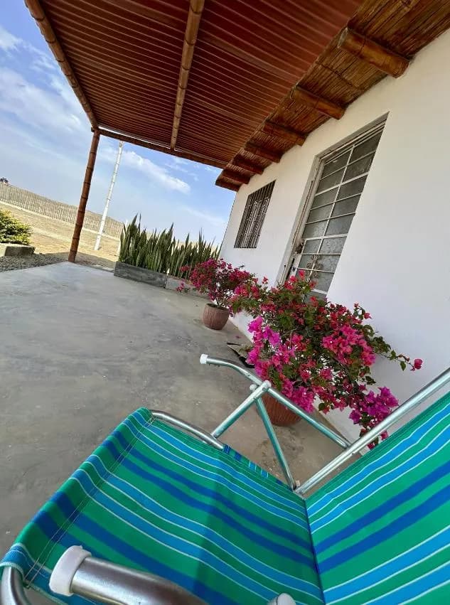 Casa  Campo TERRENO ‼️ en Cañete Venta area 1003 m2 — foto 12