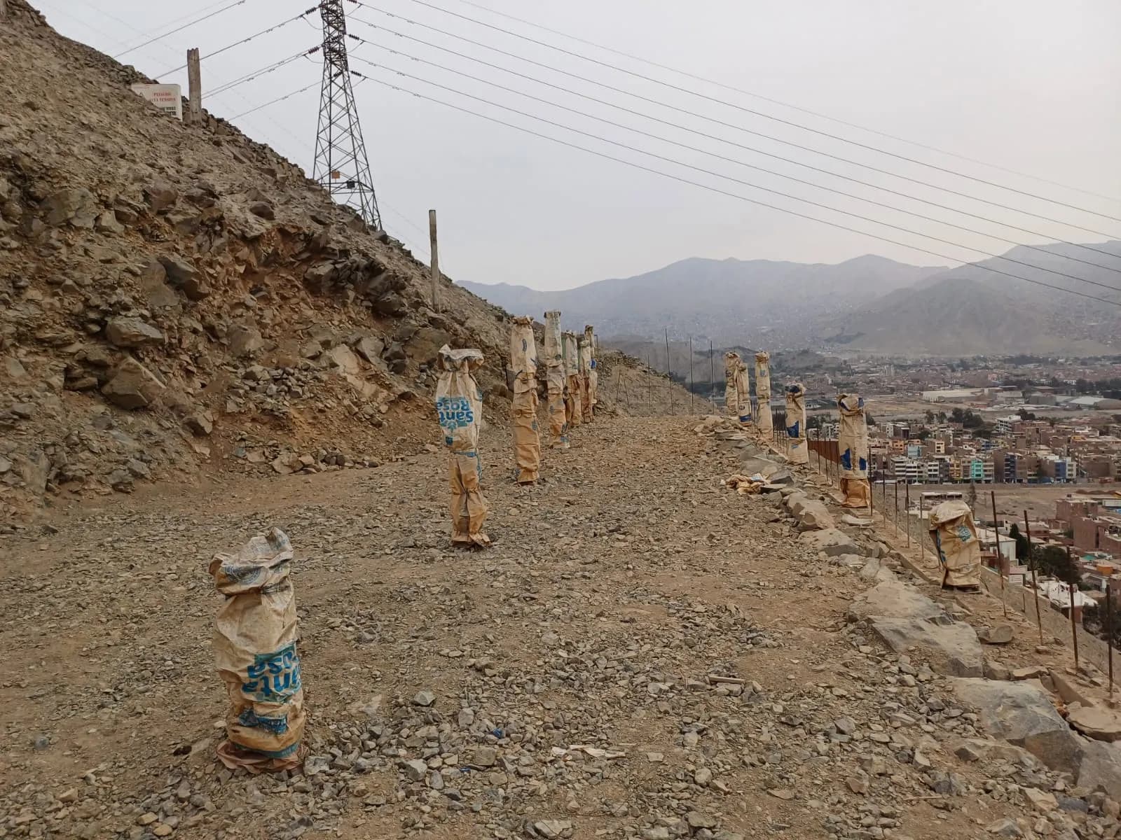 TERRENO EN REMATE - LA ERA - CHOSICA — foto 1